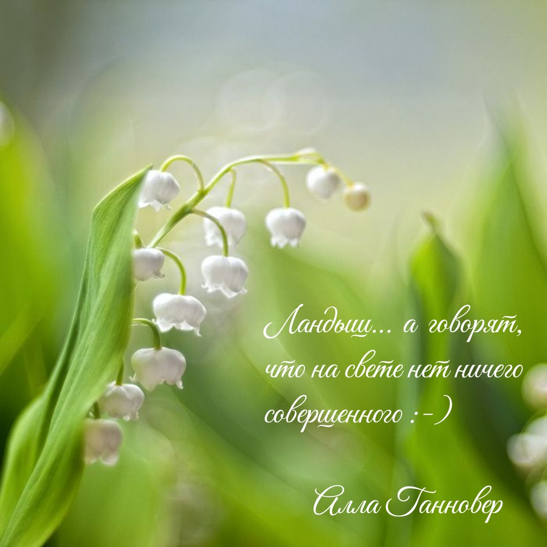 19 мая - Дeнь лaндышa