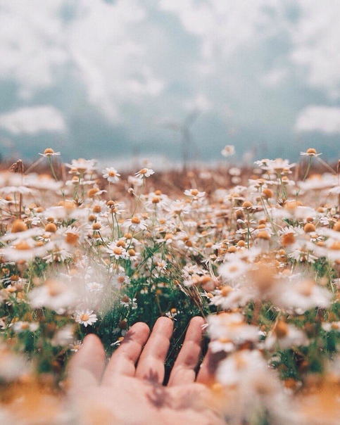 Люблю я тихие рассветы