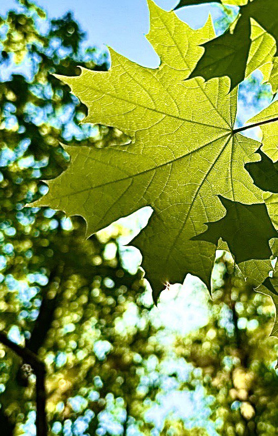 Пейзаж души