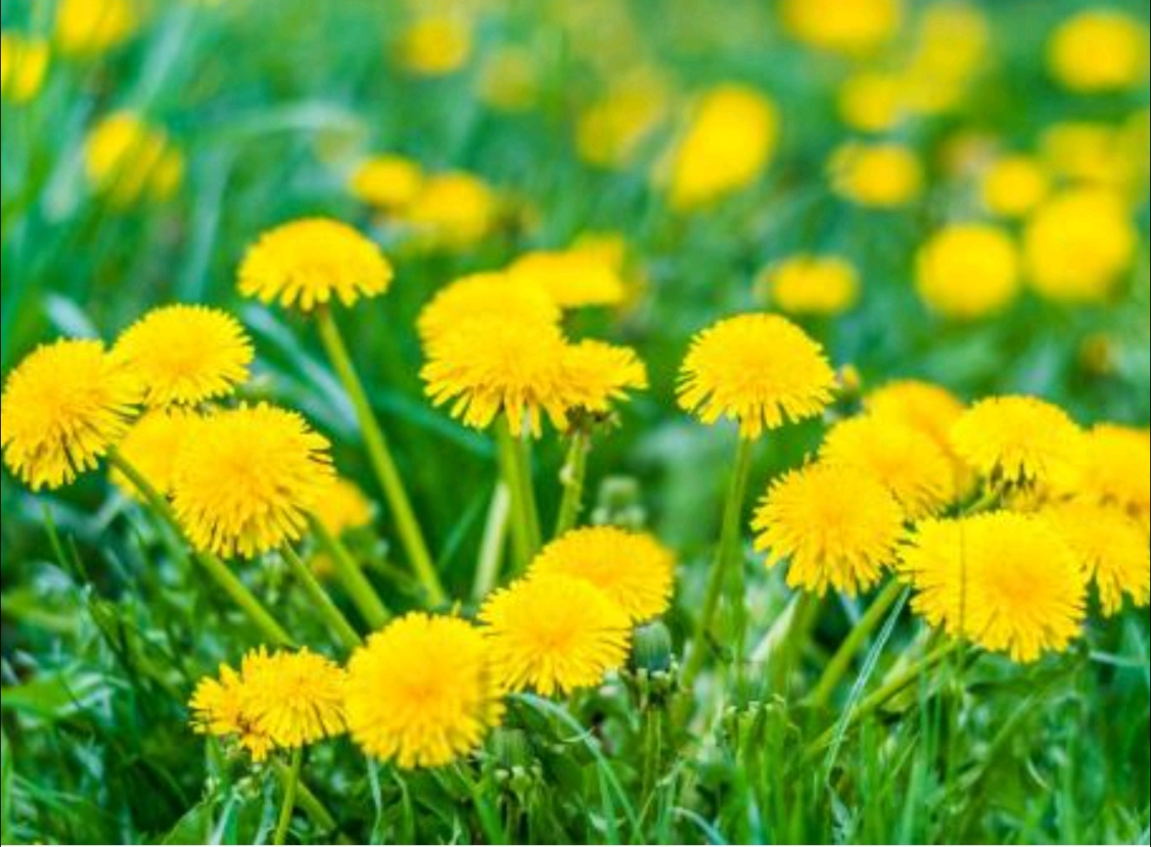 А просто так...