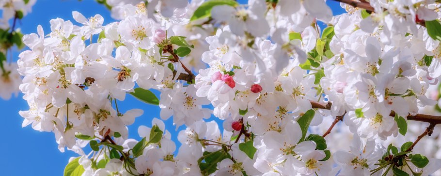 Сладко, приторно, тревожно