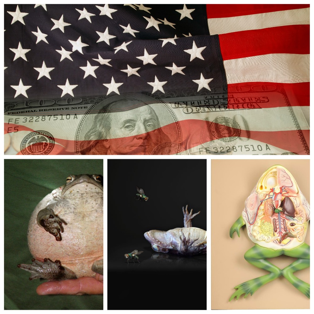 Лягушку экономики надули...