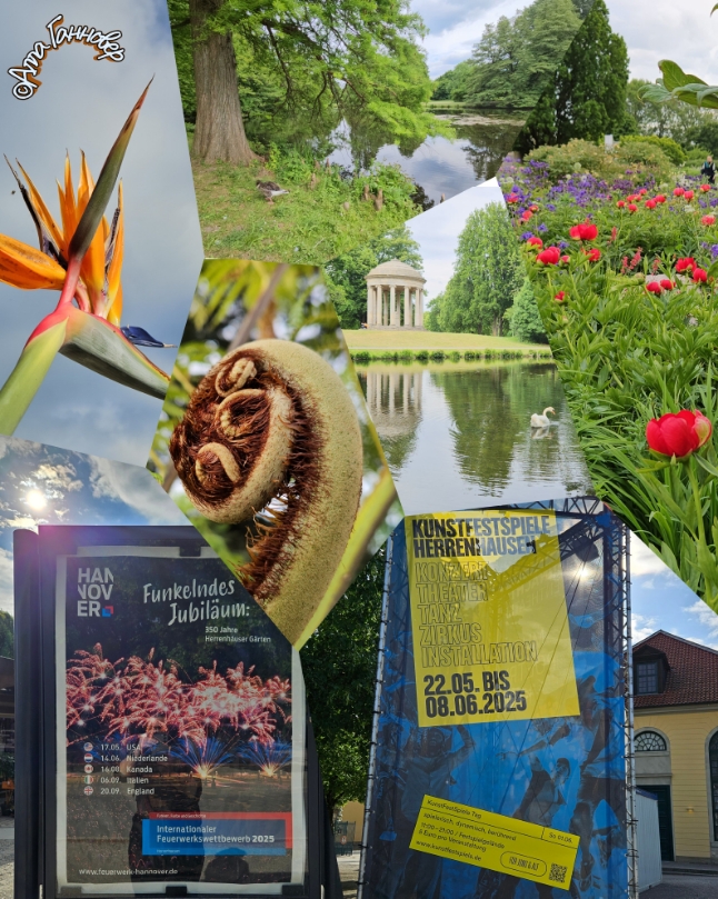 Большой сад 22. 05. 25