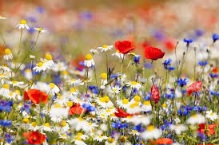 Уходит лето