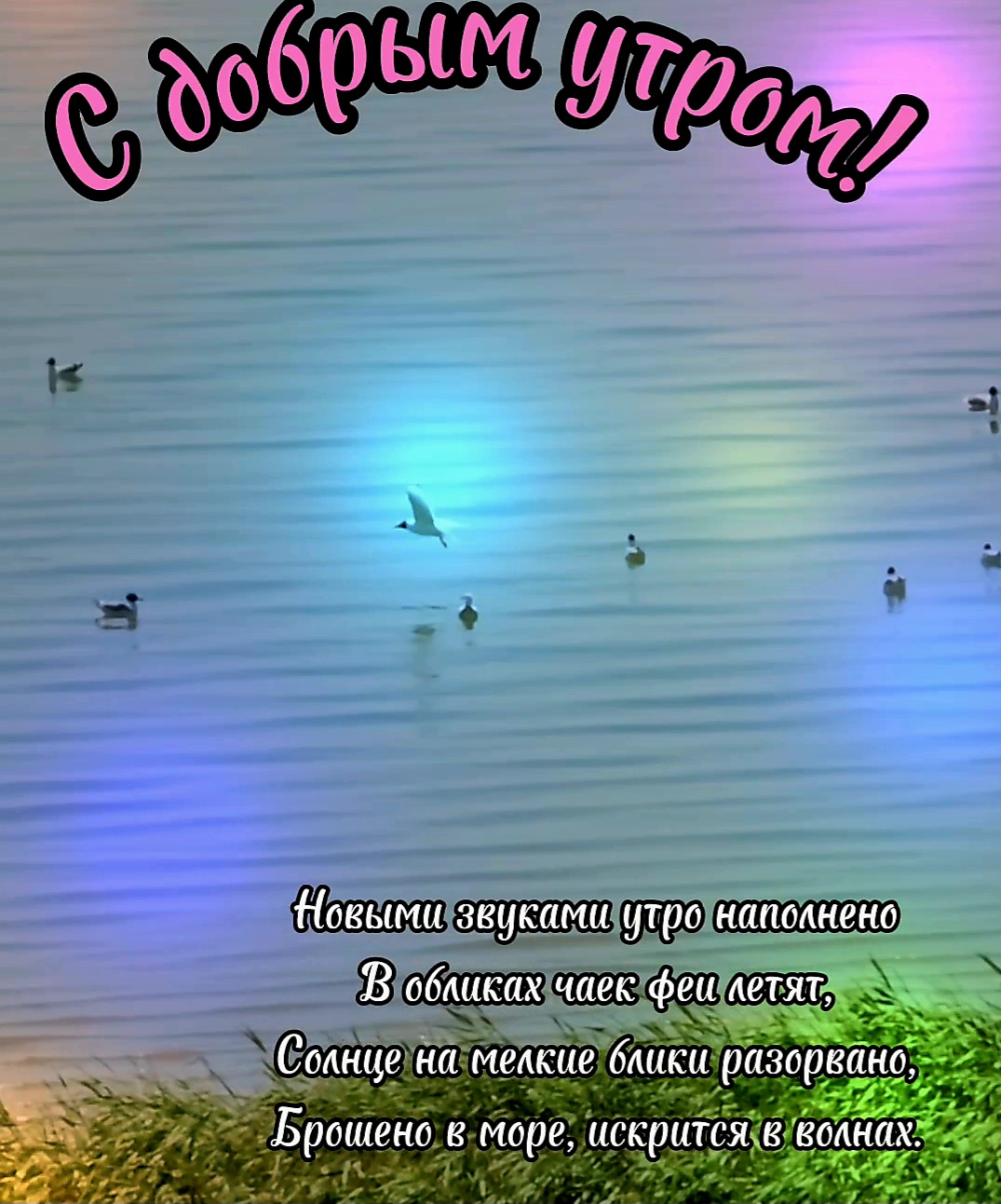 Утренняя зарисовка 72