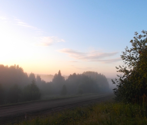 Белая ночь. 3019