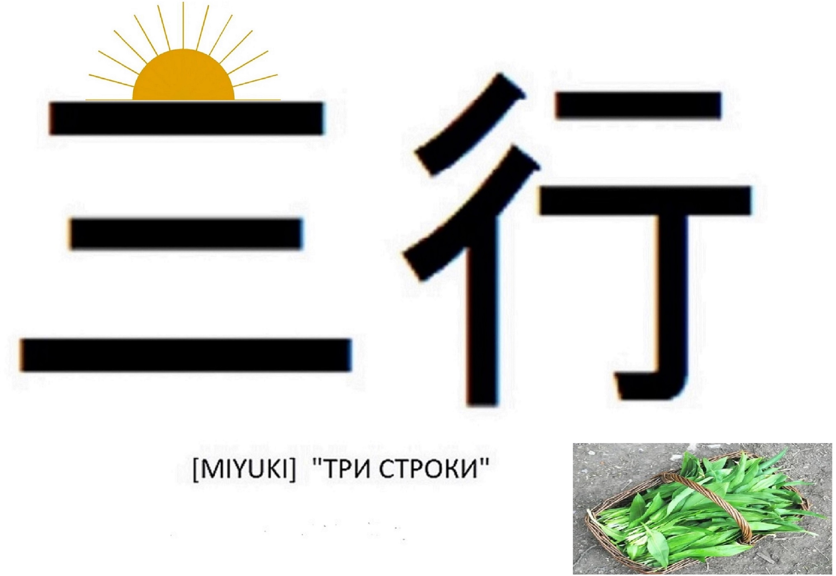 Сезонные миюки