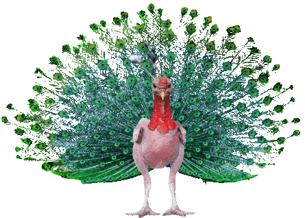 Король на птичнике