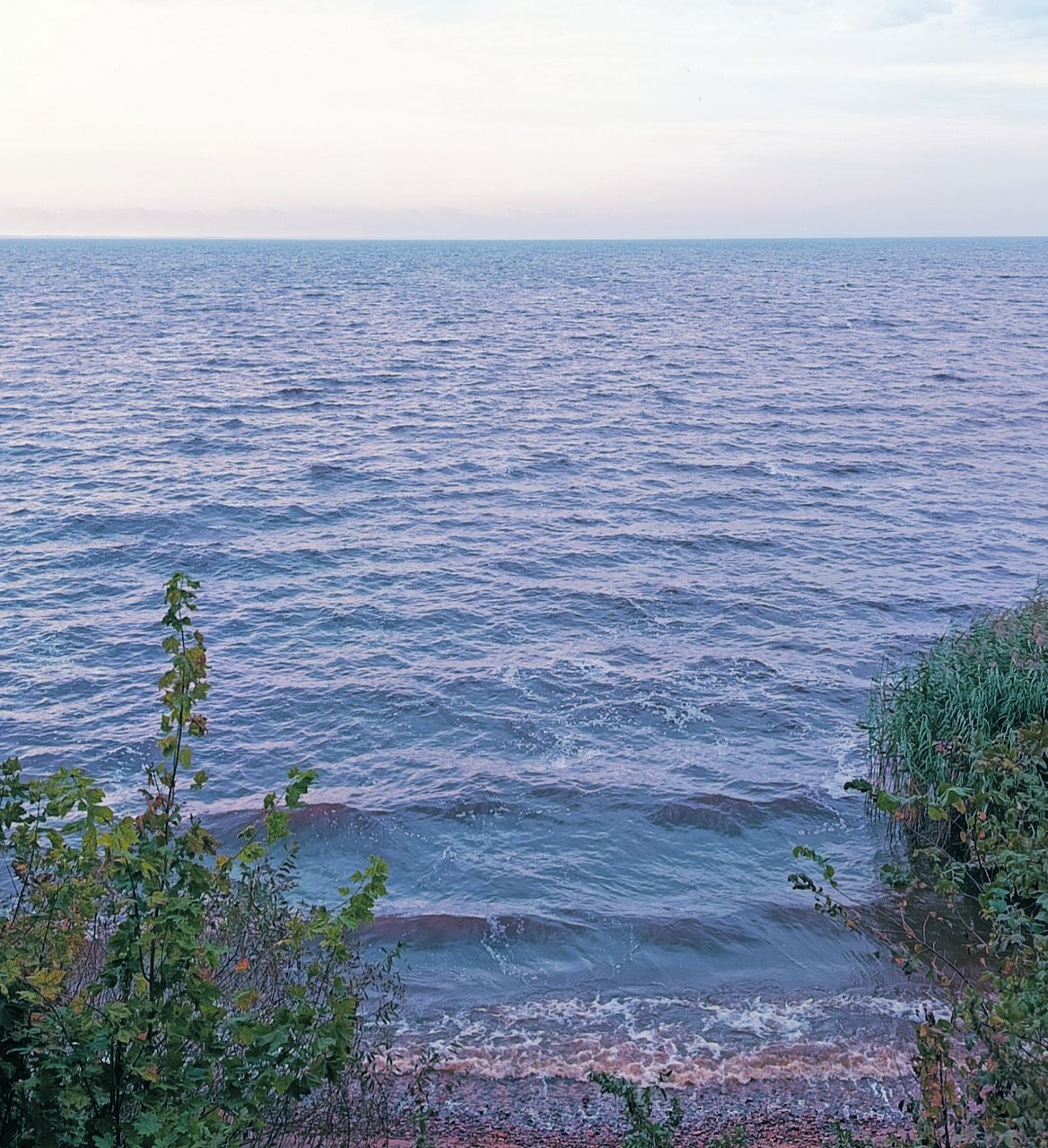 Я на облаке лечу