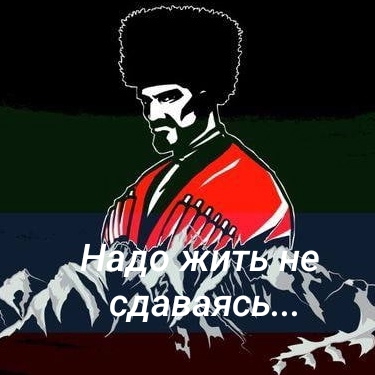 Надо жить не сдаваясь