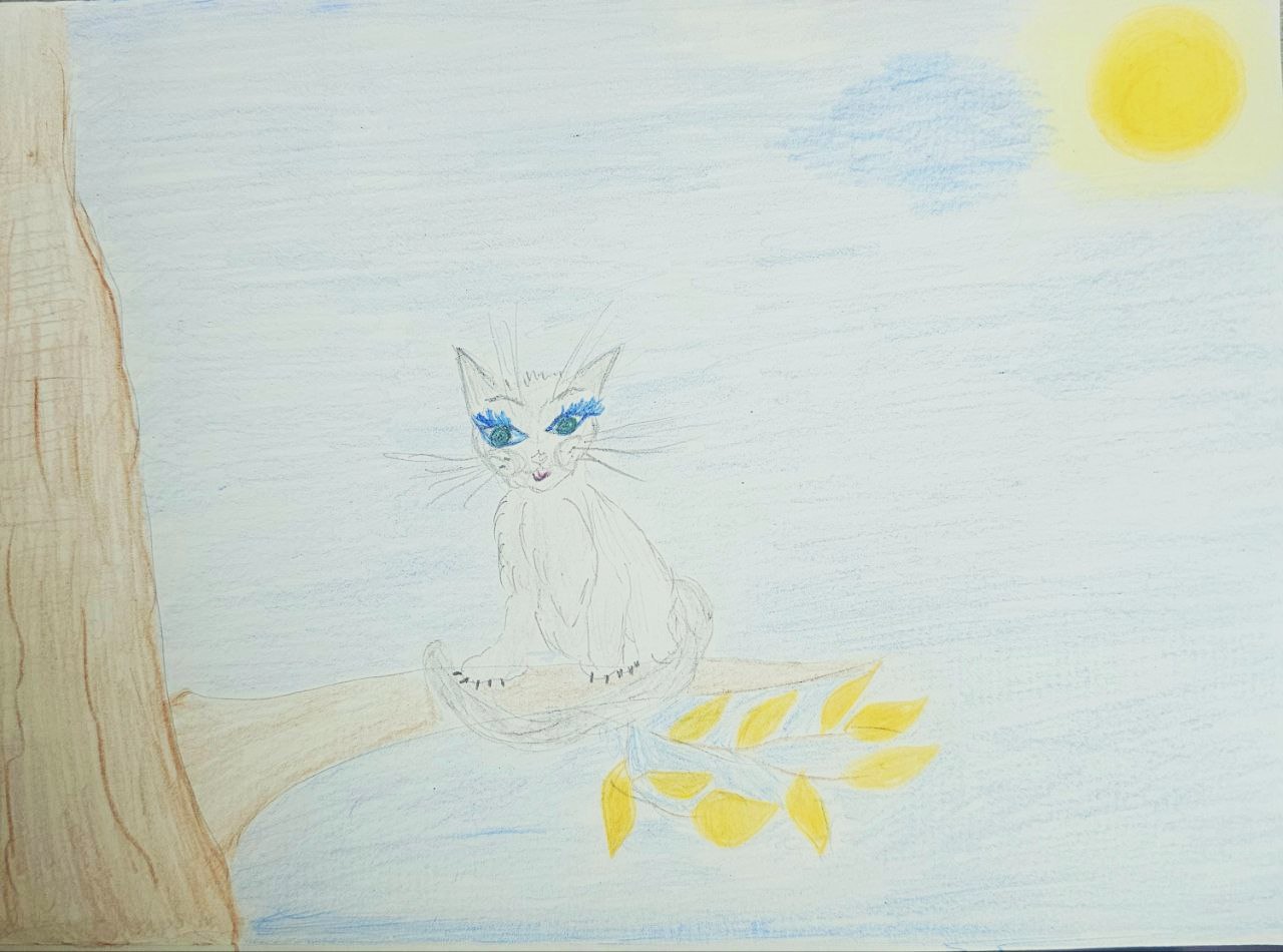 Под солнышком 506