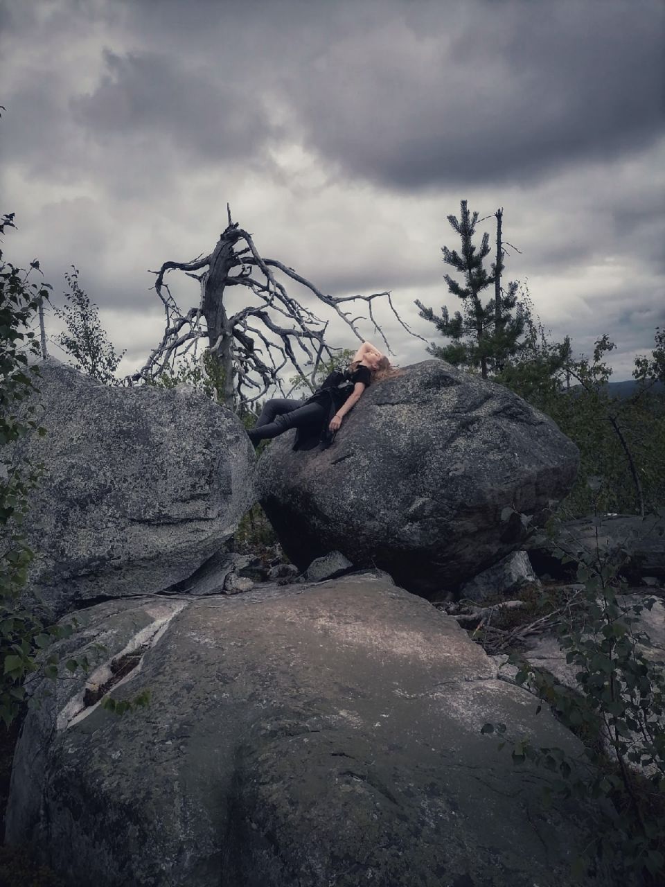 Вечерний Лес