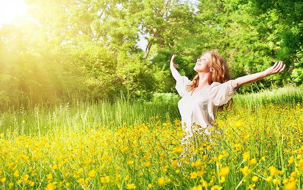 Ах, лето, лето