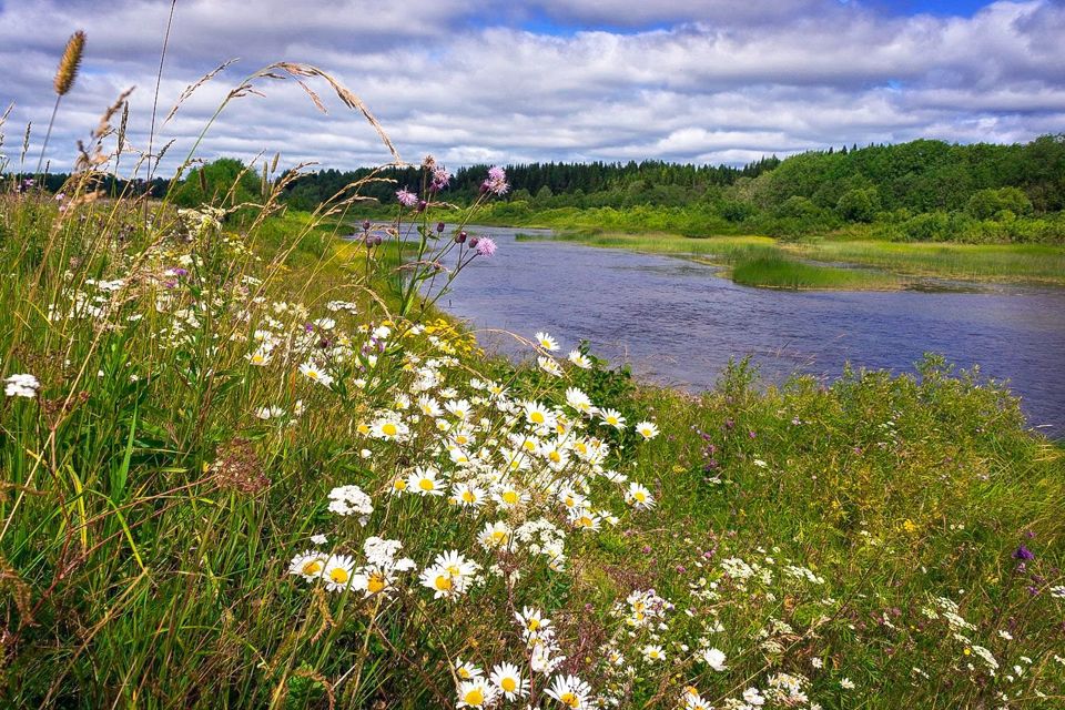 Люблю я русские просторы