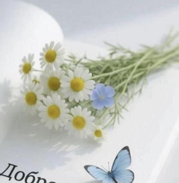 Я стёрла с глаз слезу однажды