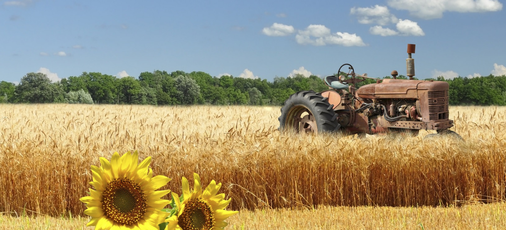 Случайный попутчик 1