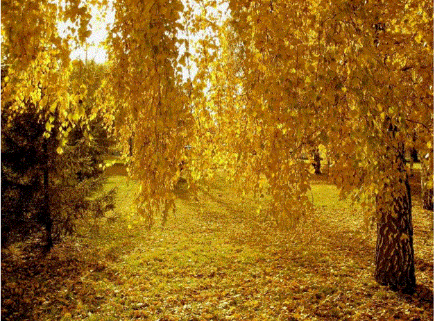 Однако осень