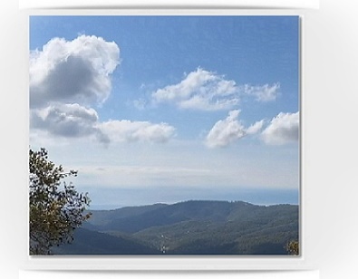 Лето для тебя