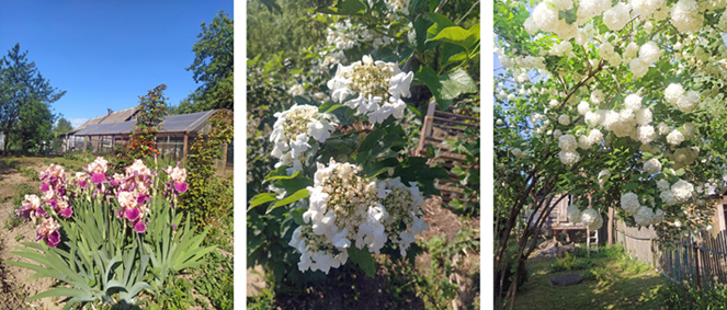 В день первый лета