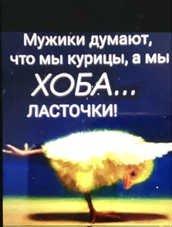 Вопросы и ответы с юмором