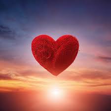 О любви к жизни