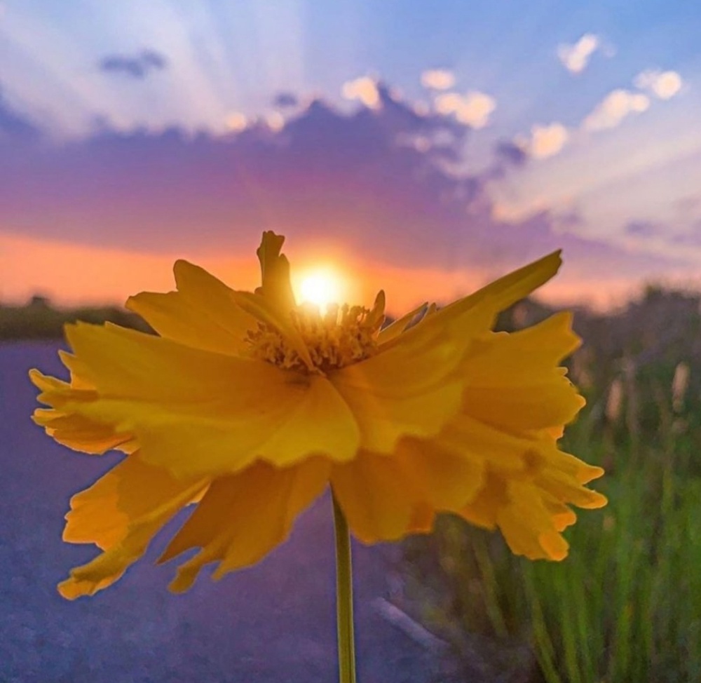 Если в любви Бог даст нам силы