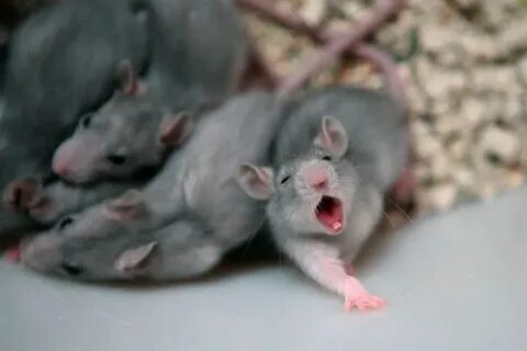 Планета редкой некрасоты