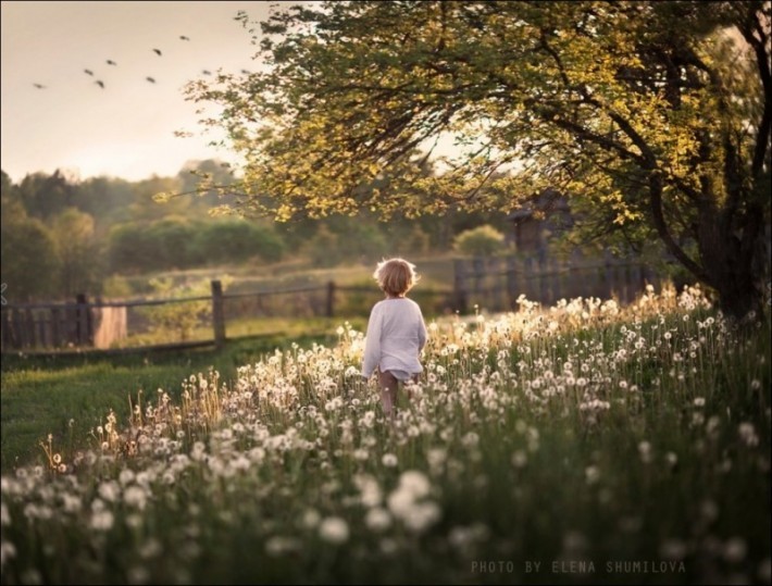 А лето нынче, вовсе не такое
