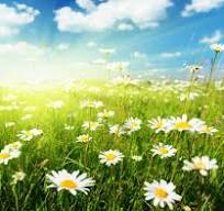 Музыка природы