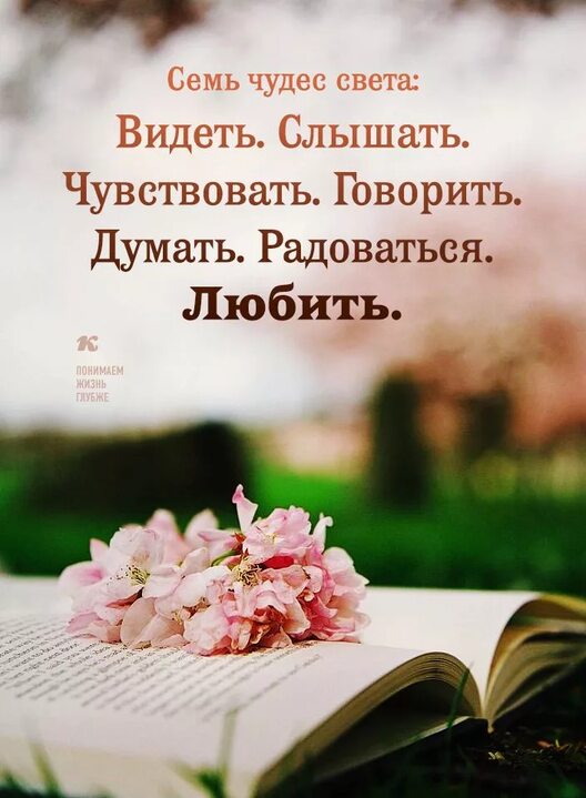 Семь чудес света