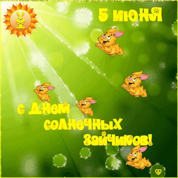 Солнечные Зайчики