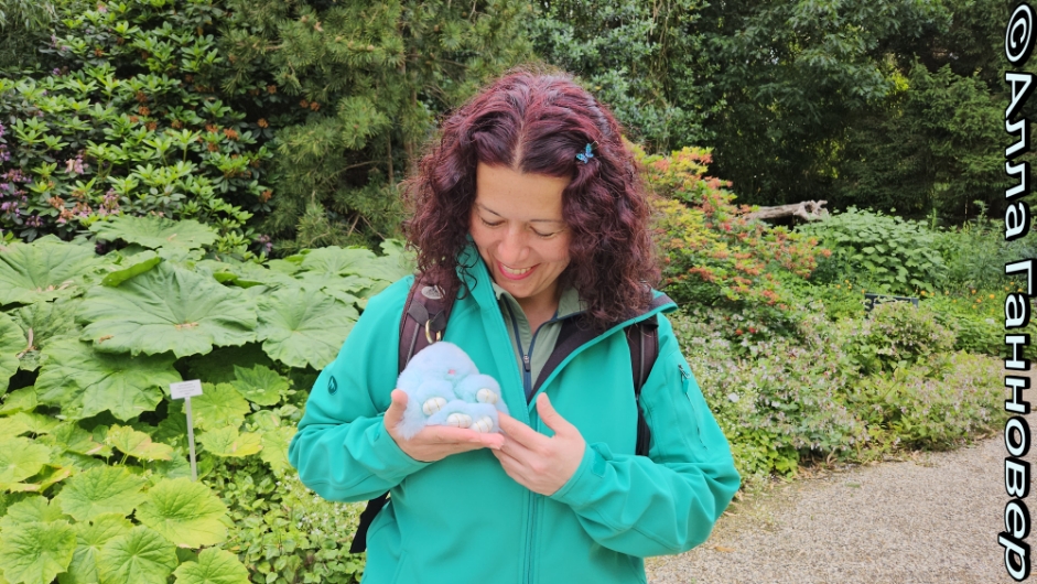 Пища для Лирика