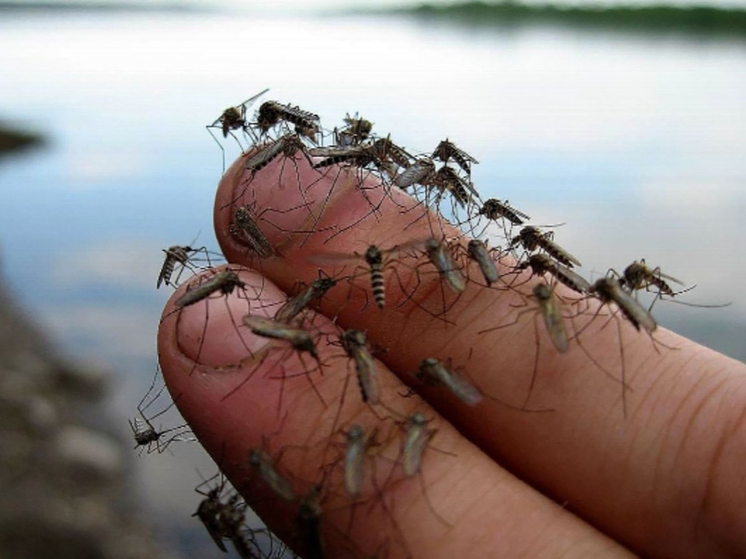 Спроси рыбака