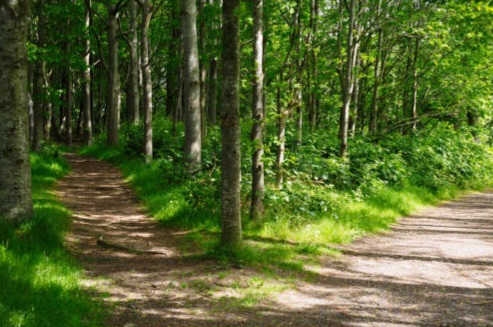 Когда на развилке двое