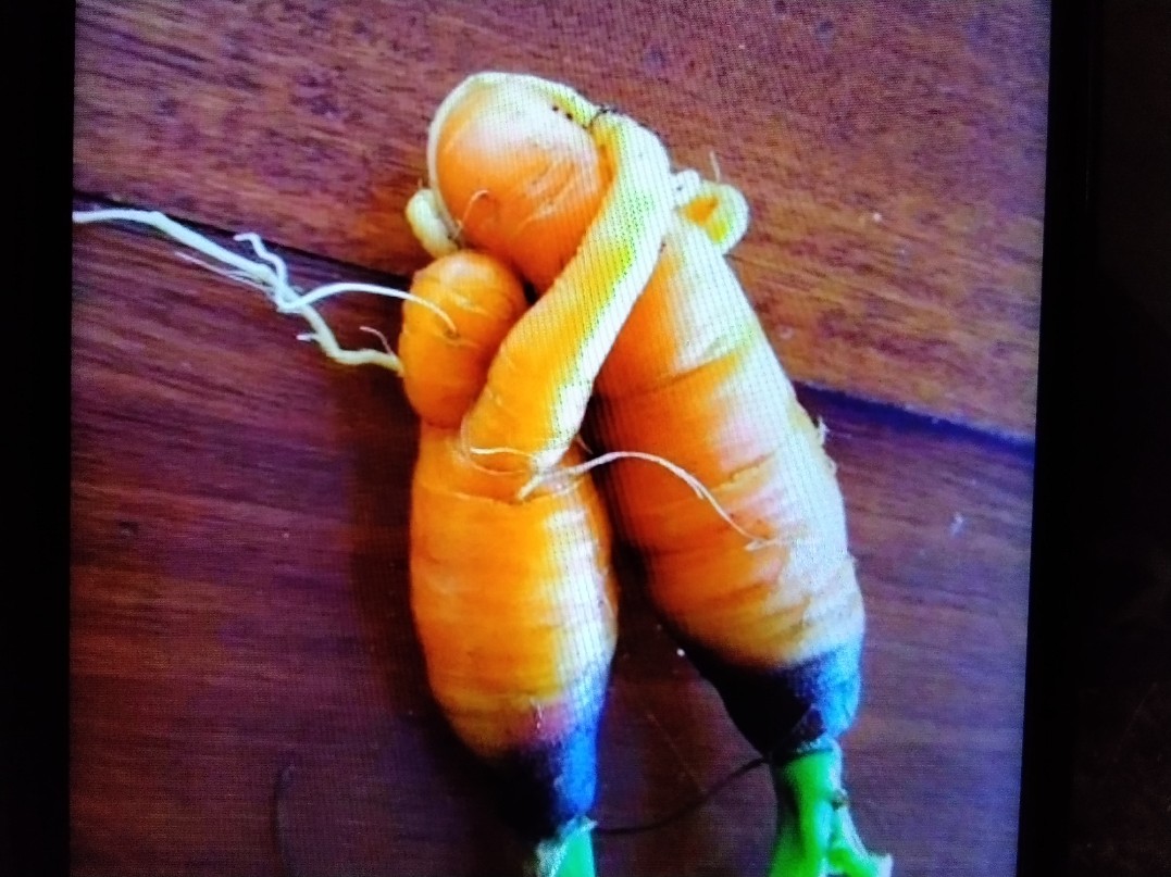 Сладкая парочка