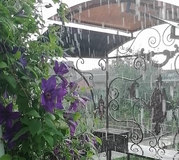 Июньский дождь