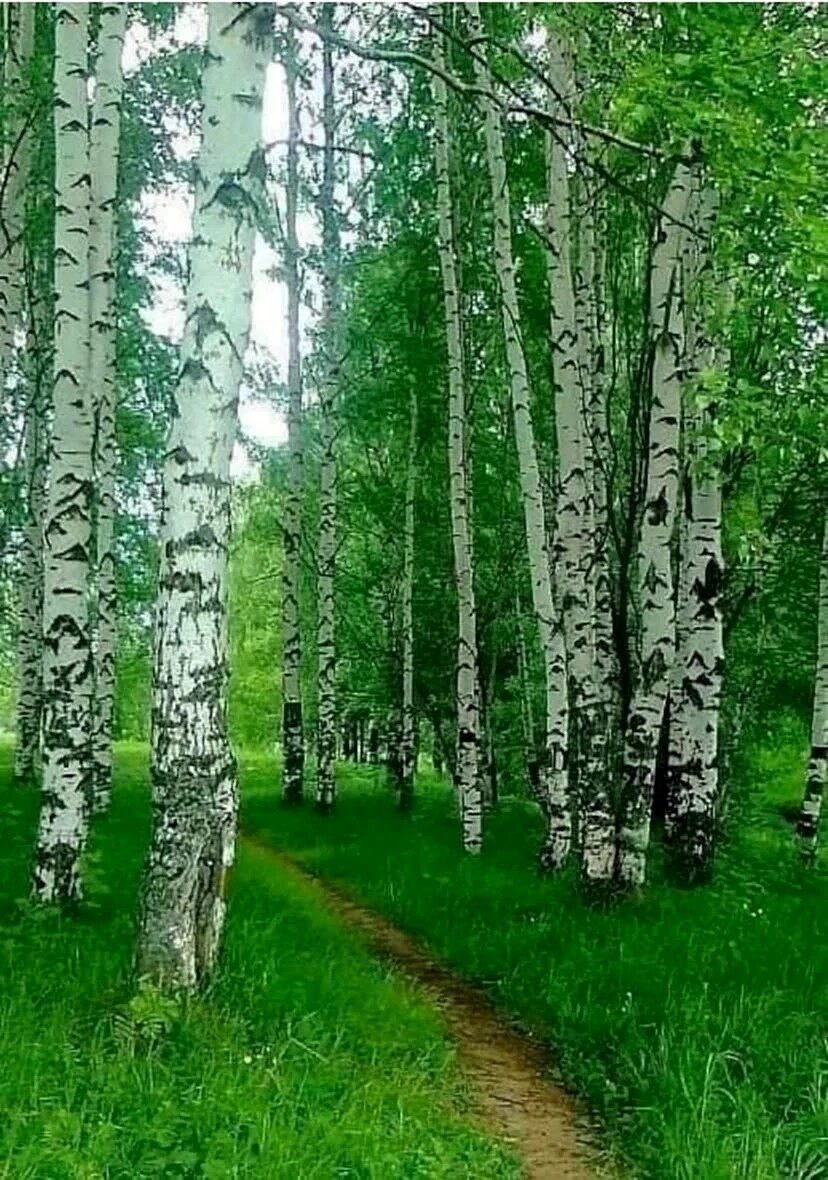 Мы все за мир