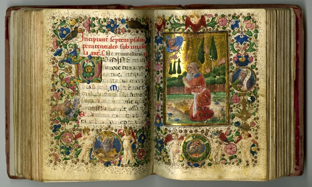 Имя на букву Д: тайный код вашей судьбы, о котором молчат астрологи