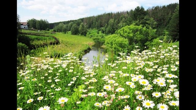 Голосование. Экспромтиус июньский