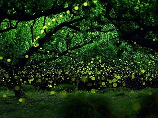 Времена года