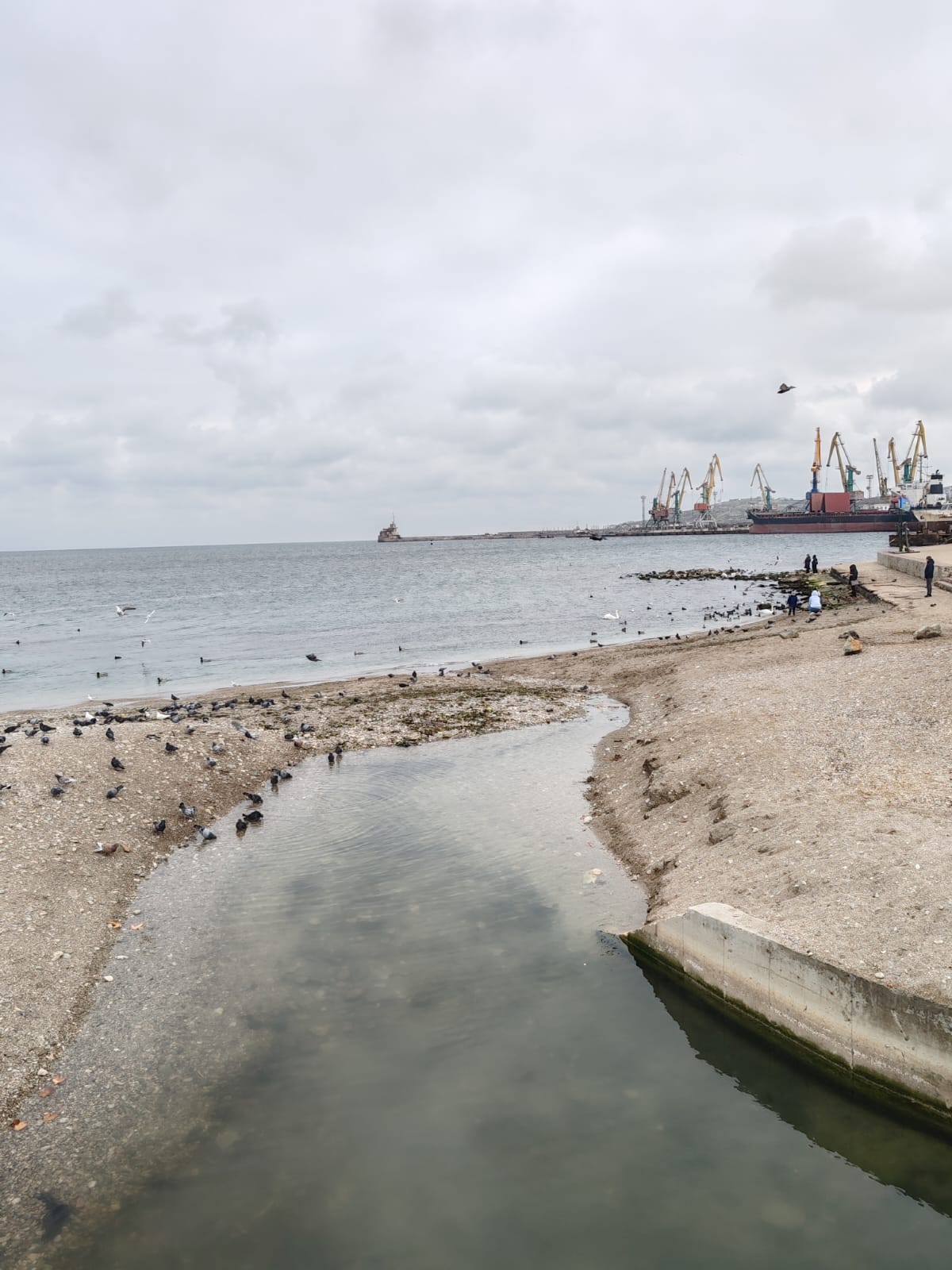 Слезы дождя