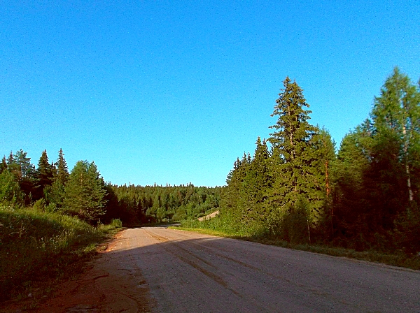 Белая ночь. 3265