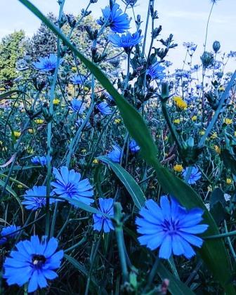 В череде наитий