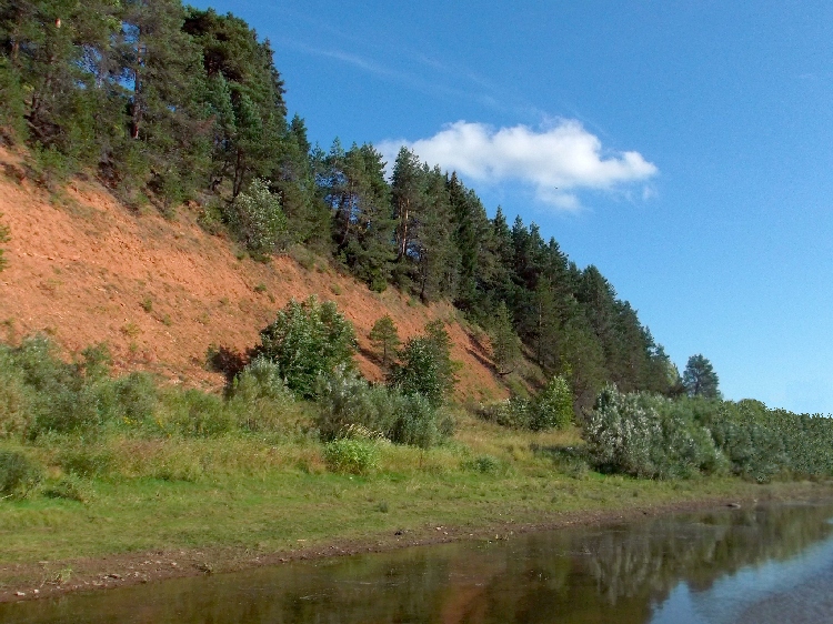 Белая ночь. 3277