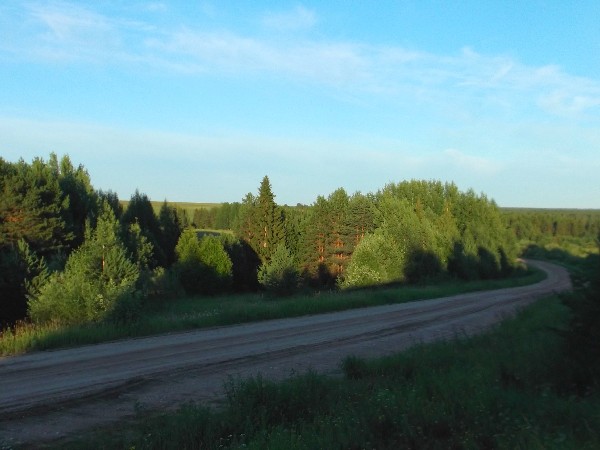 Белая ночь. 3278