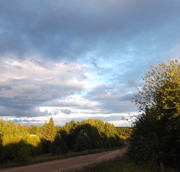 Белая ночь. 3284