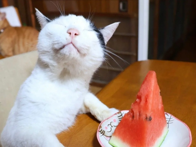 Разочарование. Рассказ по картинке