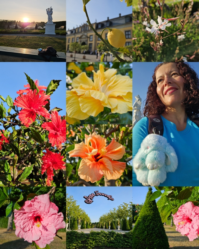 Зайчонок Лирик впервые в Большом саду