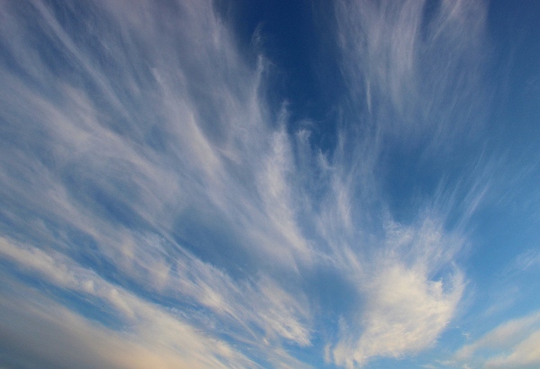 Белая ночь. 3301