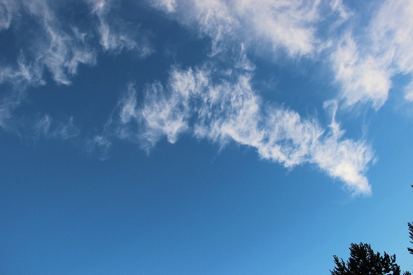 Белая ночь. 3304